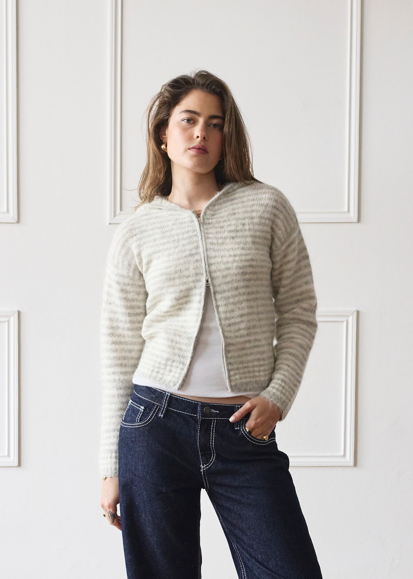 Dual Zip Hoodie - Grey Stripe Main image