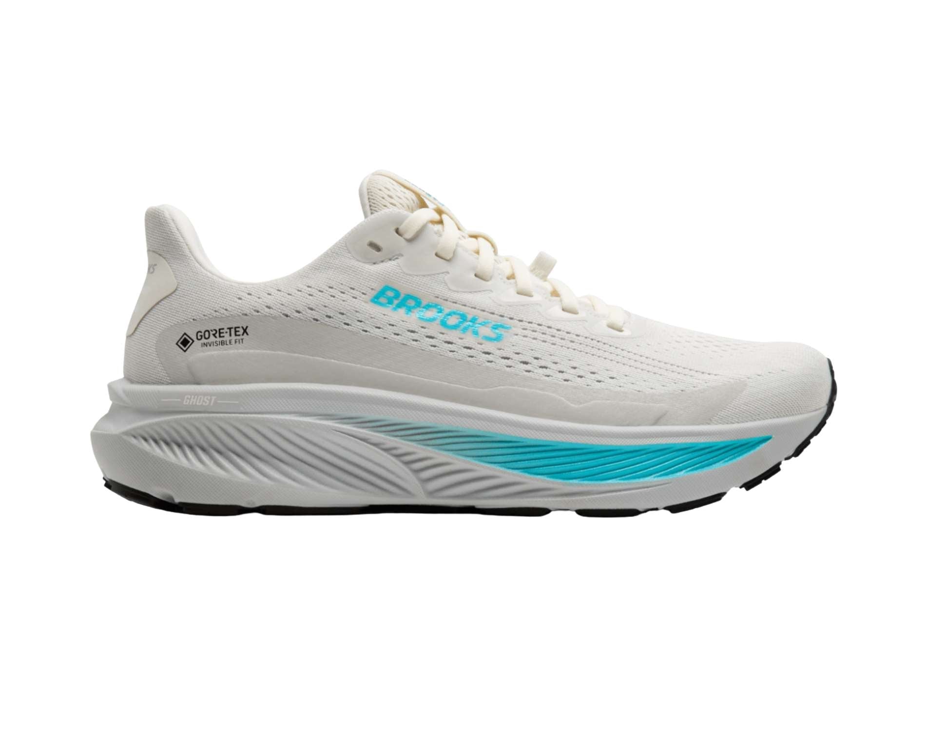 Brooks Ghost 17 GTX Womens Trail-Running Shoes Main image