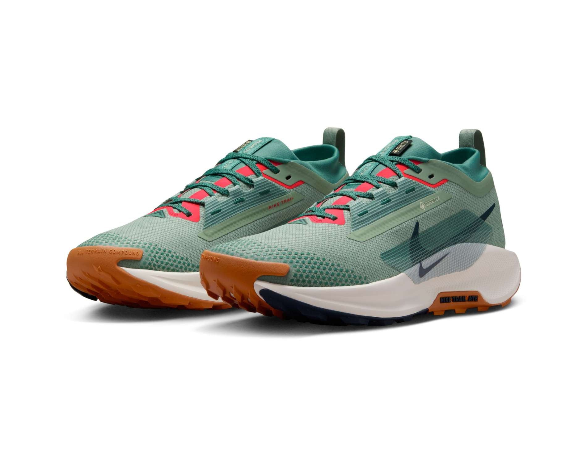 Nike Pegasus Trail 5 GORE-TEX Mens Trail-Running Shoes